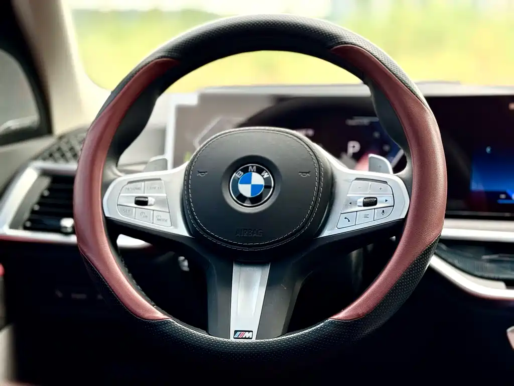 BMW X5 — миниатюра 10