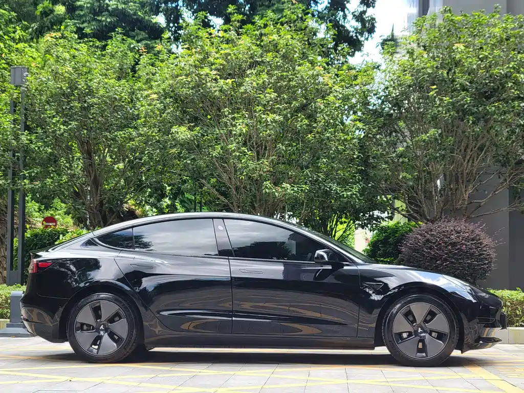 Tesla Model 3 — миниатюра 13