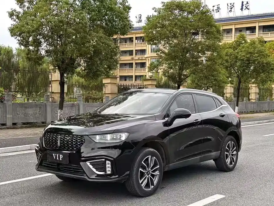 Wey Wey VV5 2021