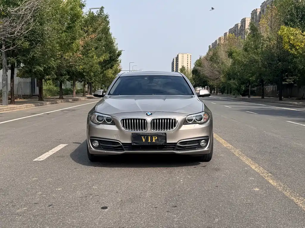 BMW 5 Series — миниатюра 2