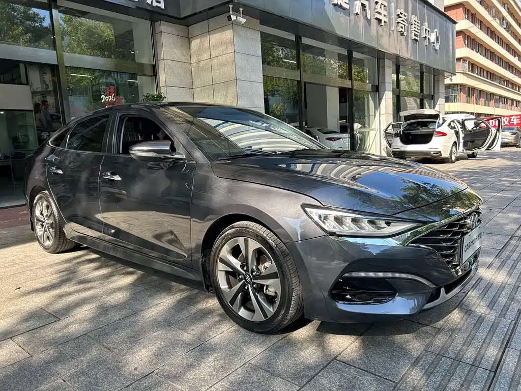 Hyundai Fista — миниатюра 2