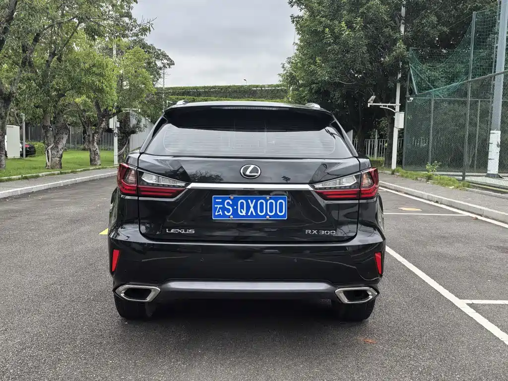 Lexus RX — миниатюра 5