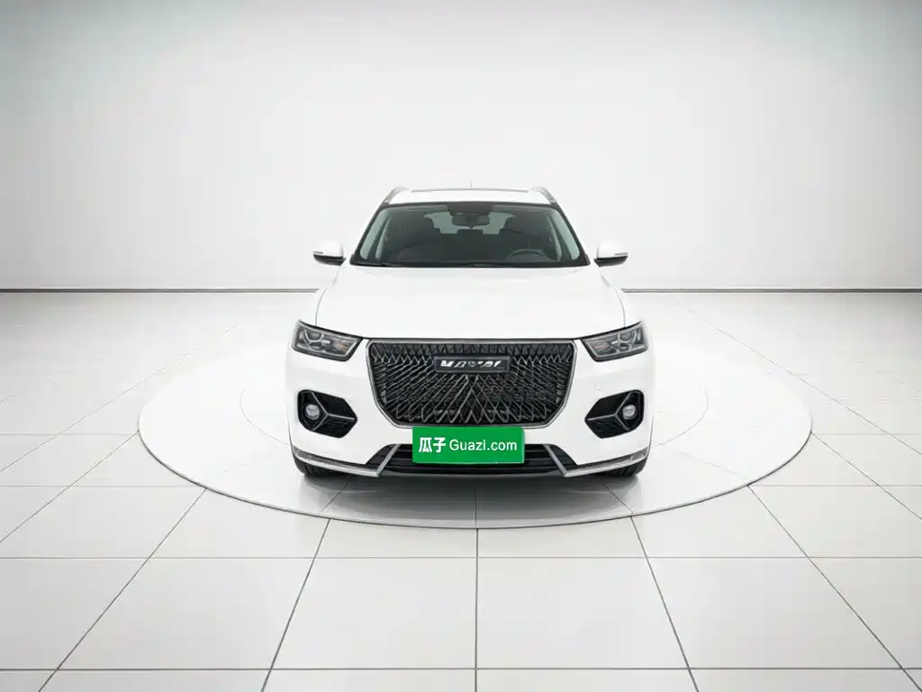 Haval H6 — миниатюра 2