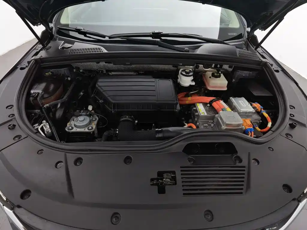 BYD Tang New Energy — миниатюра 6