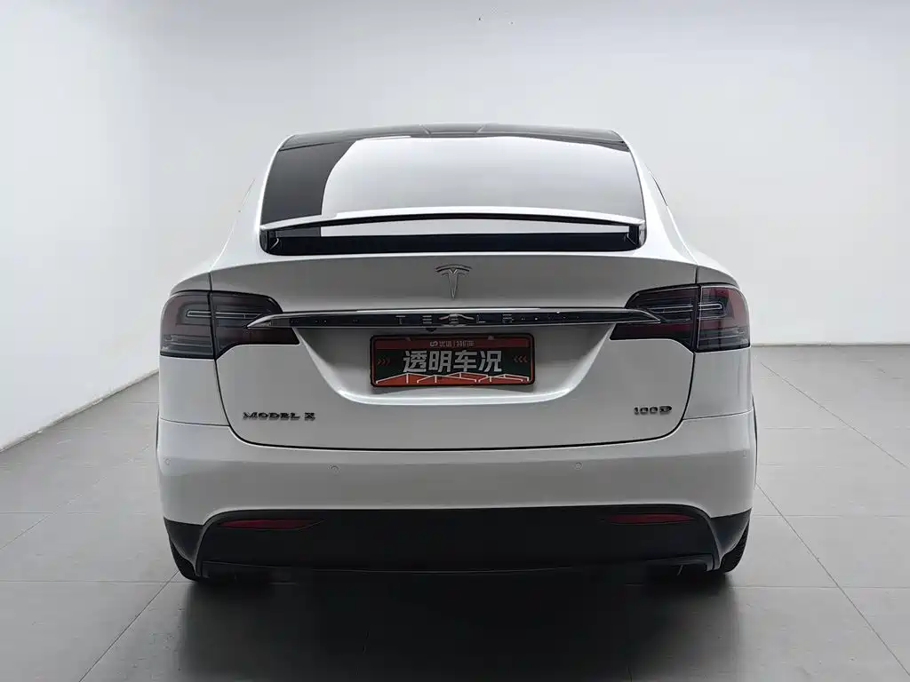 Tesla Model X — миниатюра 4