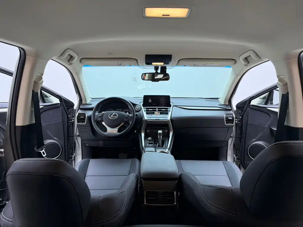 Lexus NX — миниатюра 18