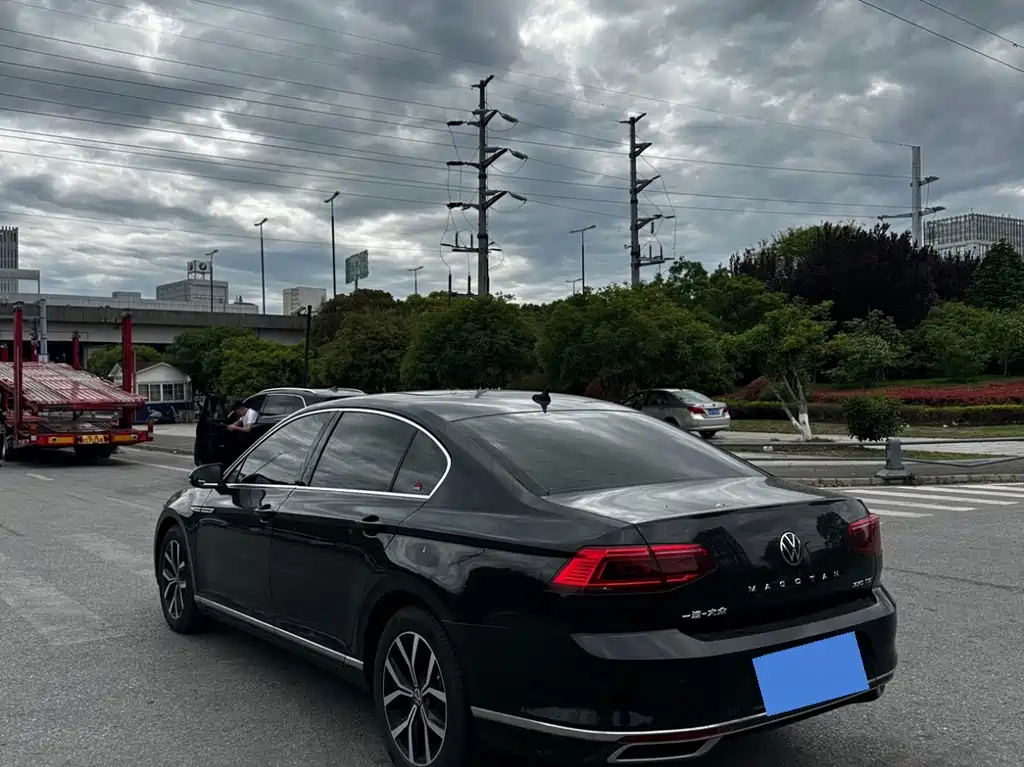 Volkswagen Magotan 2020 330TSI DSG Luxury