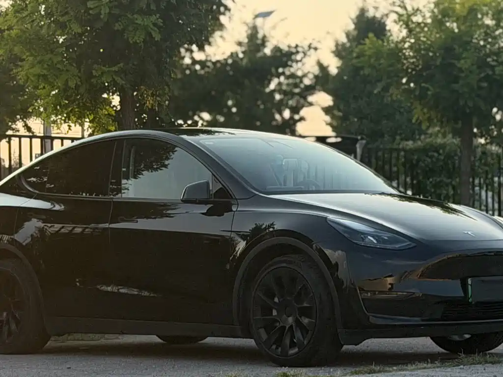 Tesla Model Y — миниатюра 3