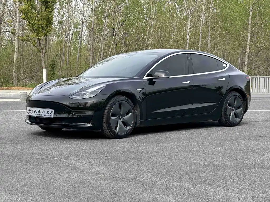 Tesla Model 3 2020
