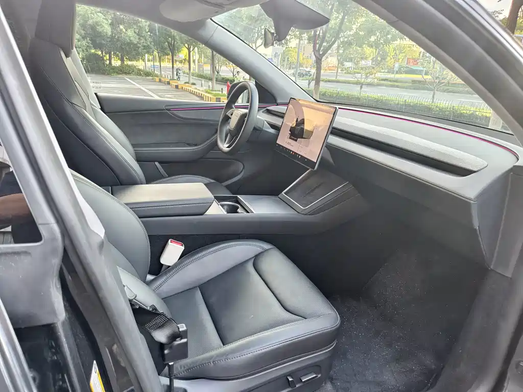 Tesla Model Y — миниатюра 10