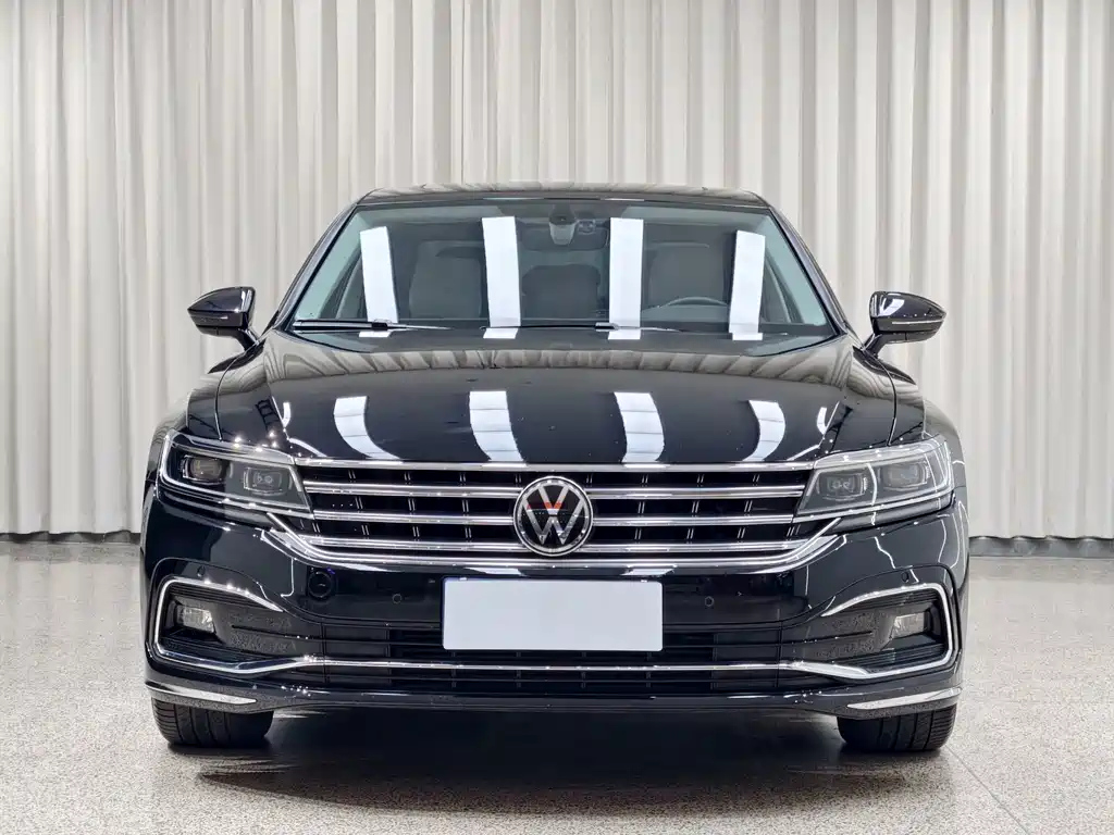 Volkswagen Phideon — миниатюра 2