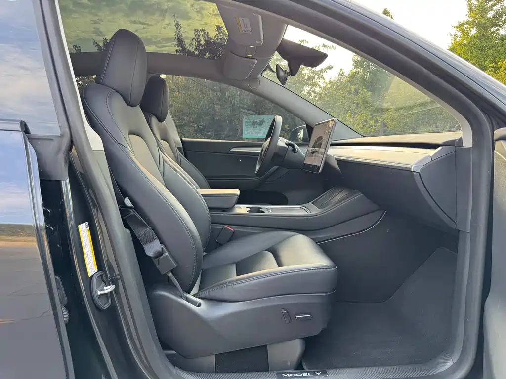 Tesla Model Y — миниатюра 19