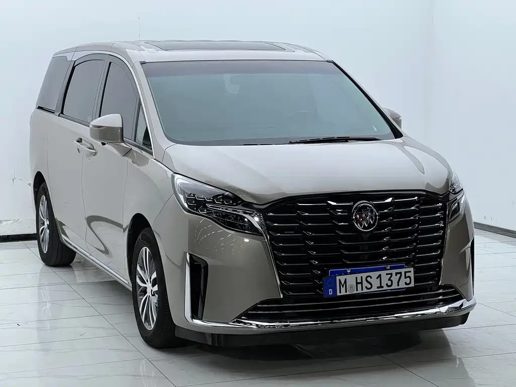 Buick GL8 — миниатюра 3