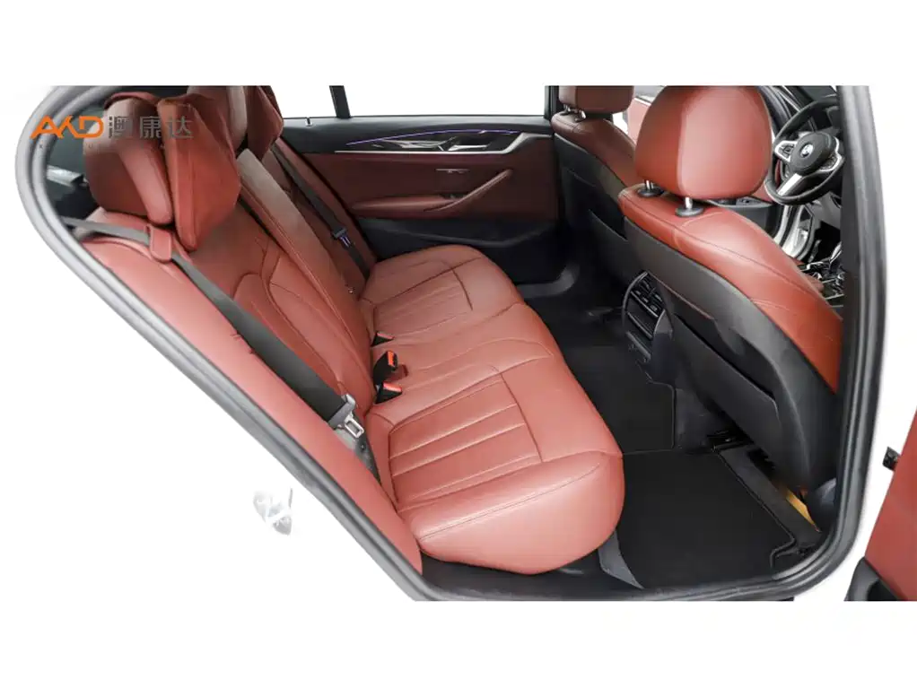 BMW 5 Series 5 2019 530Li Lead M Sport