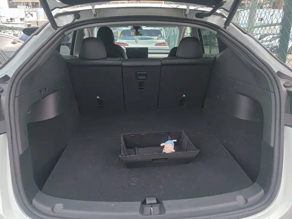 Tesla Model Y — миниатюра 19