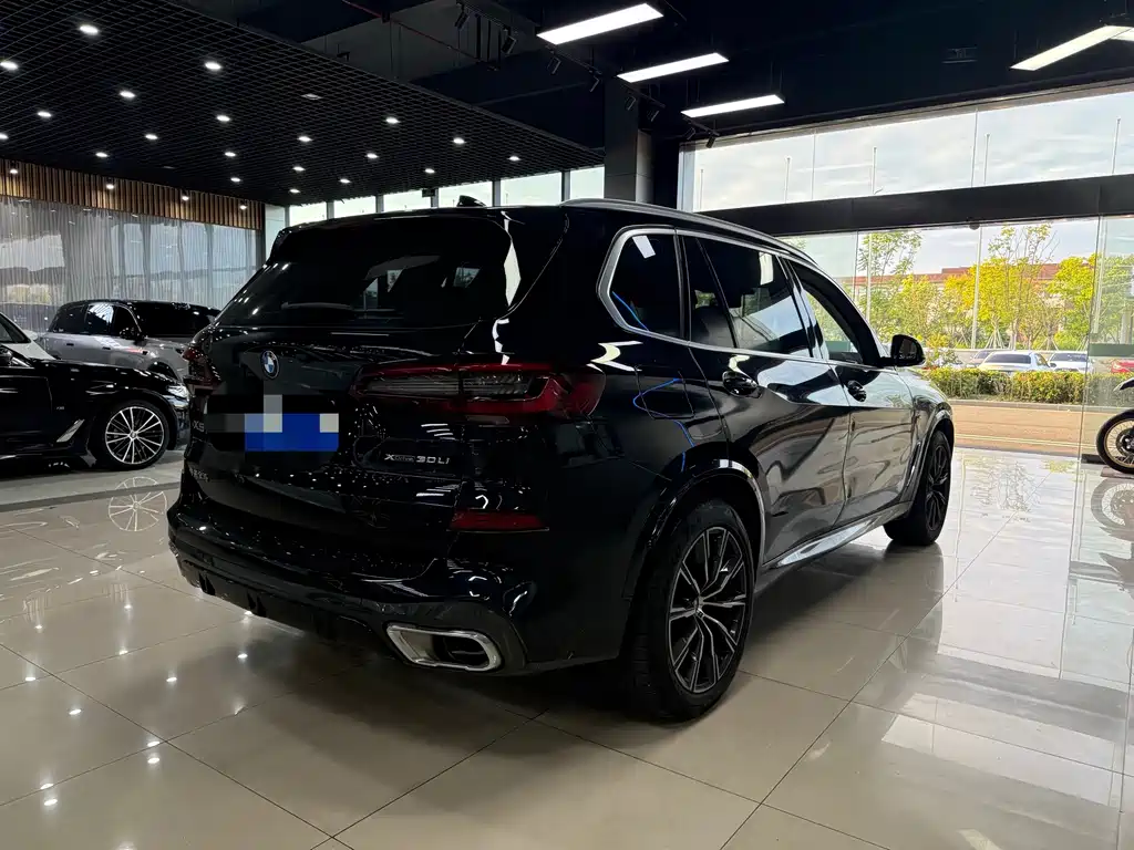 BMW X5 — миниатюра 8