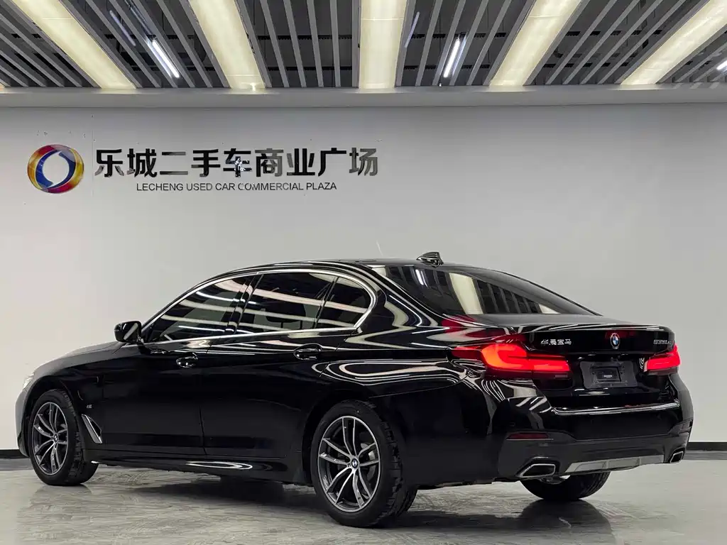 BMW 5 Series New Energy — миниатюра 19