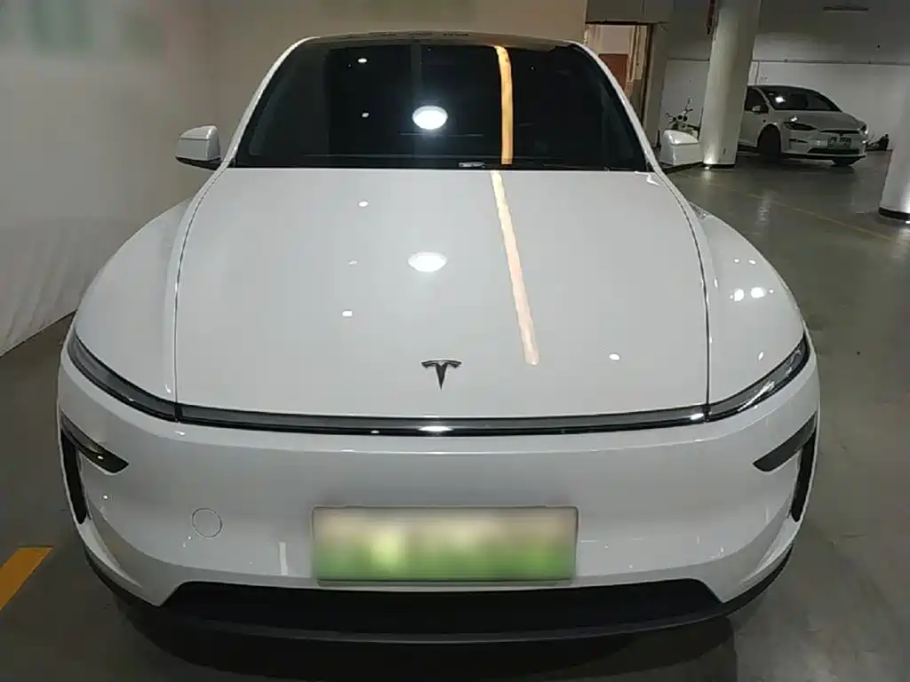Tesla Model Y — миниатюра 3