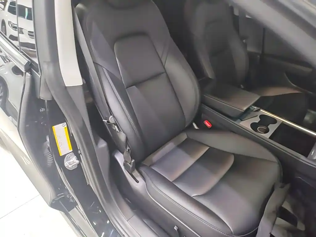 Tesla Model 3 — миниатюра 25
