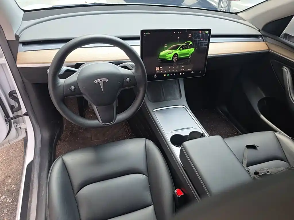 Tesla Model Y — миниатюра 9