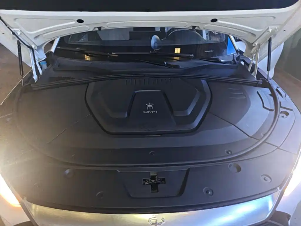 BYD PLUS New Energy — миниатюра 20