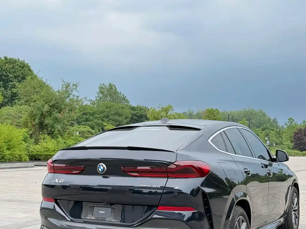 BMW X6 — миниатюра 5