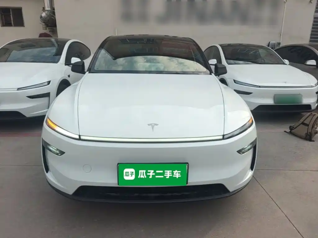 Tesla Model Y — миниатюра 3