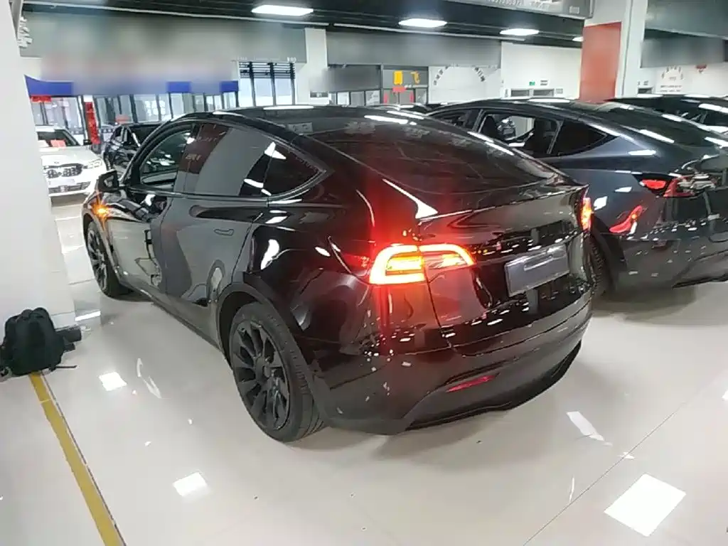 Tesla Model Y — миниатюра 5