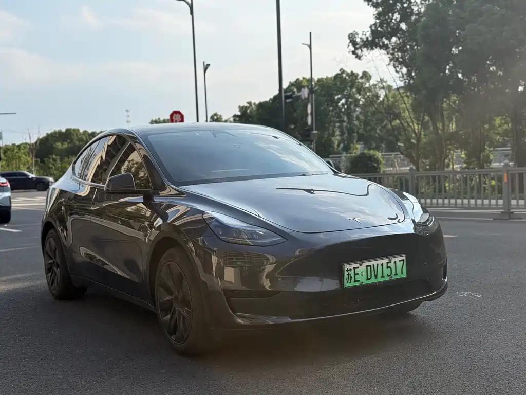 Tesla Model Y — миниатюра 3