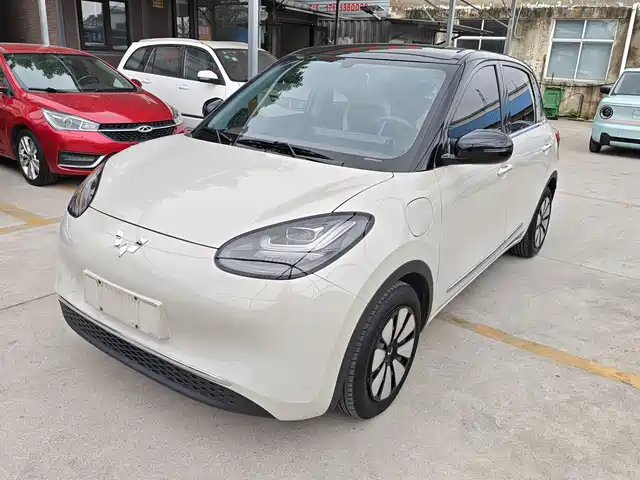 2024 Wuling Motors Binguo