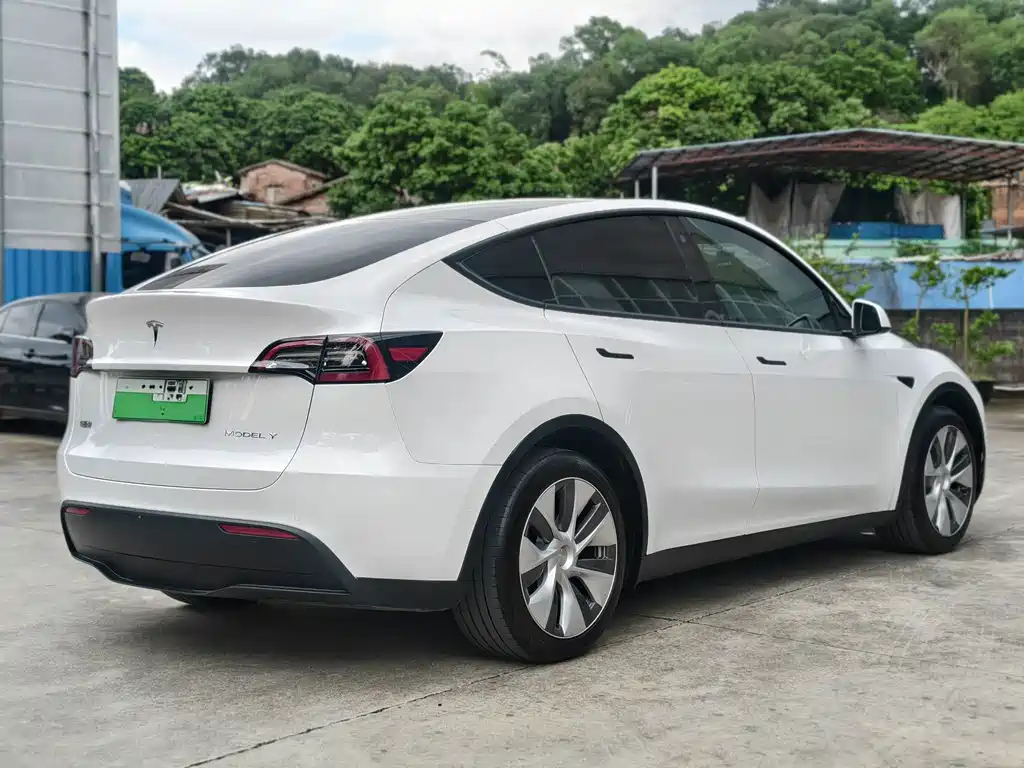 Tesla Model Y — миниатюра 3
