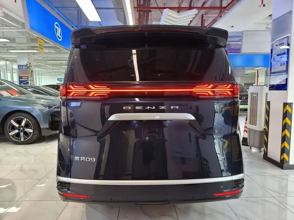 Denza Denza D9 — миниатюра 6