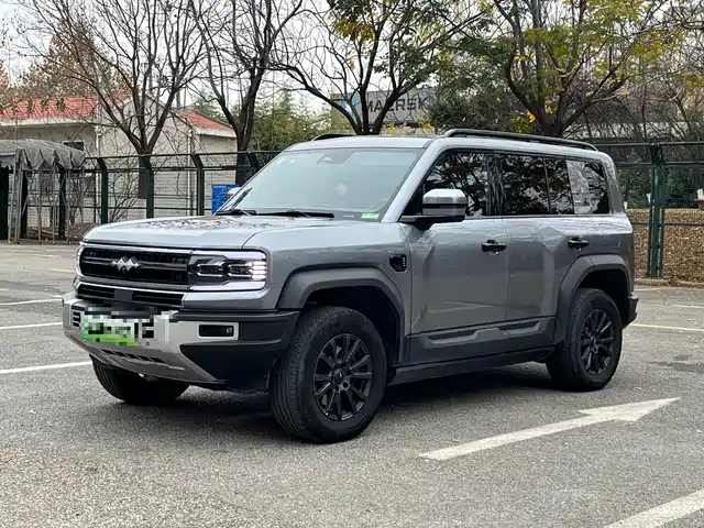 fang-cheng-bao leopard-5