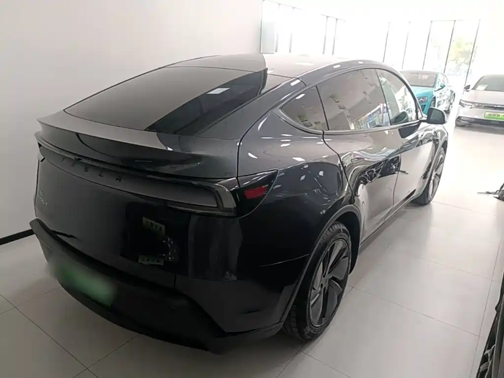 Tesla Model Y — миниатюра 7