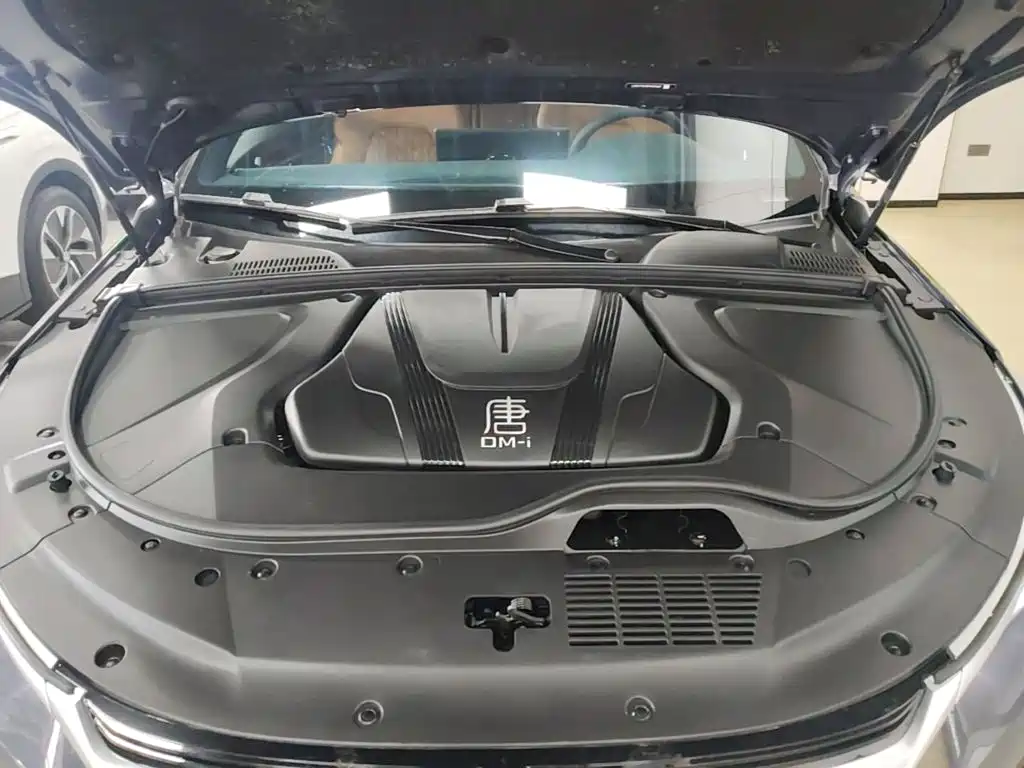 BYD Tang New Energy — миниатюра 20