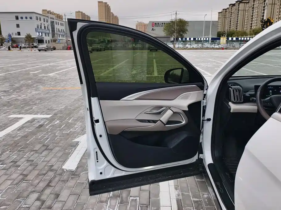 BYD Pro New Energy — миниатюра 7