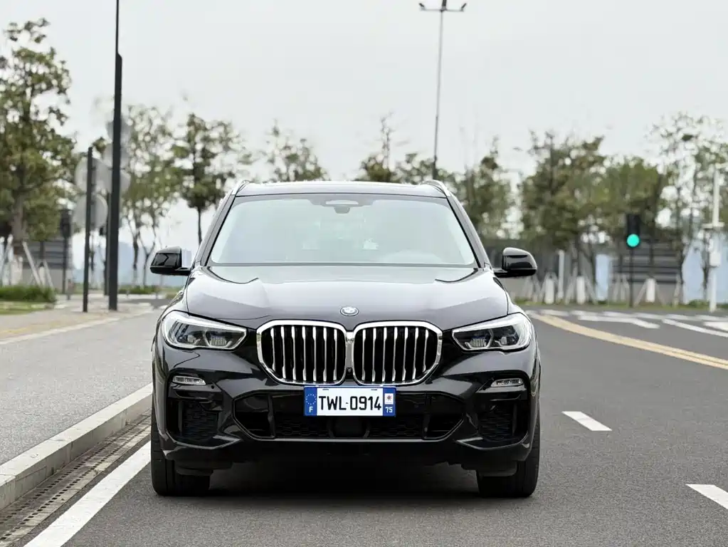 BMW X5 (Import) — миниатюра 7