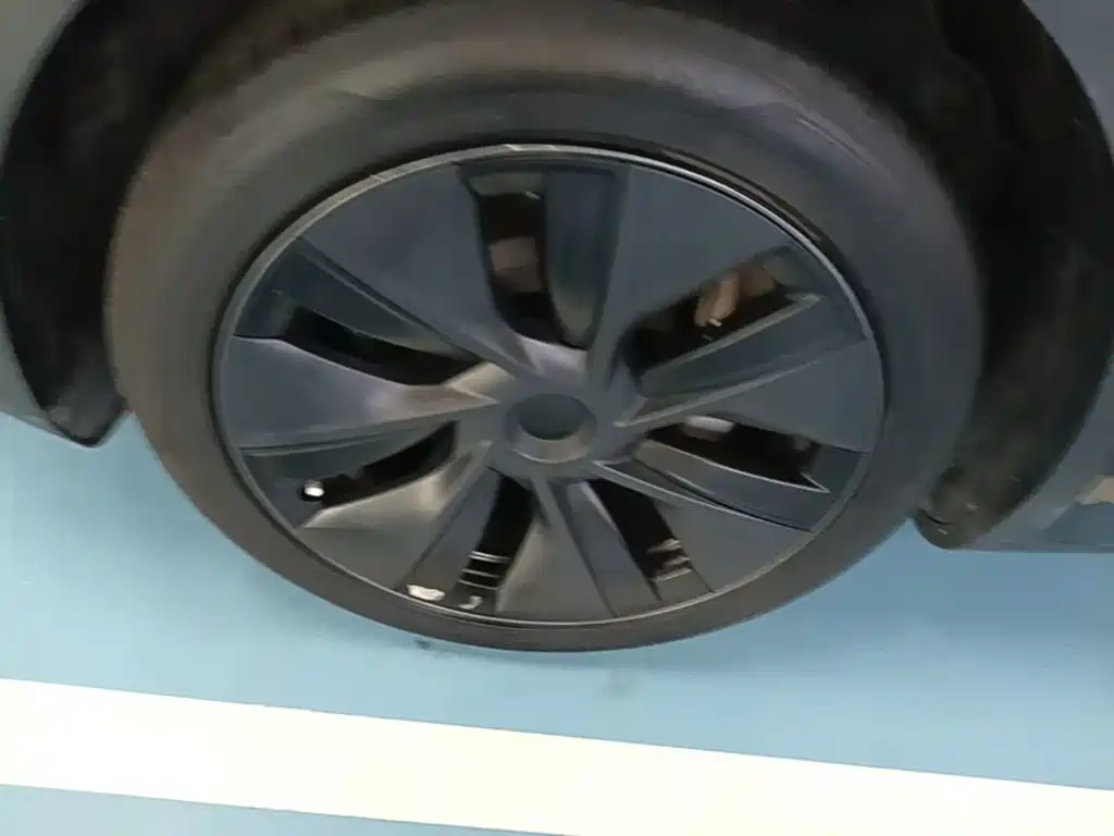 Tesla Model Y — миниатюра 23