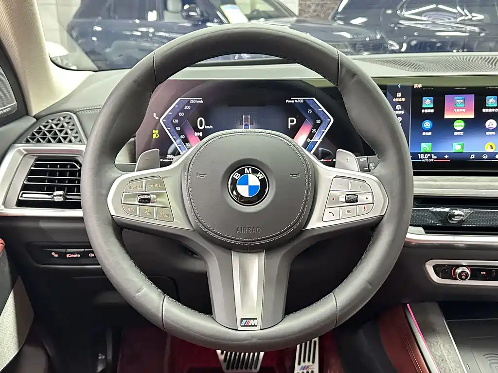 BMW X5 — миниатюра 19