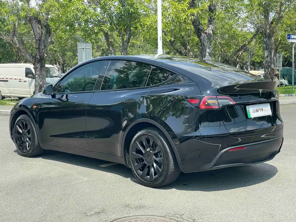 Tesla Model Y — миниатюра 14