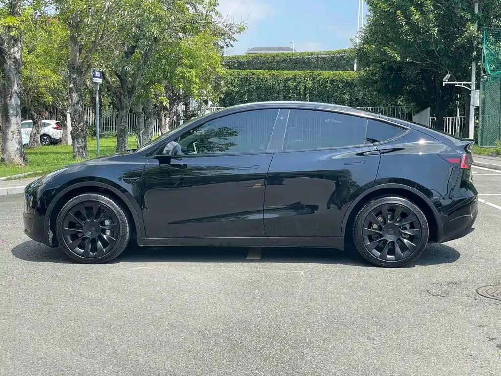 Tesla Model Y — миниатюра 13