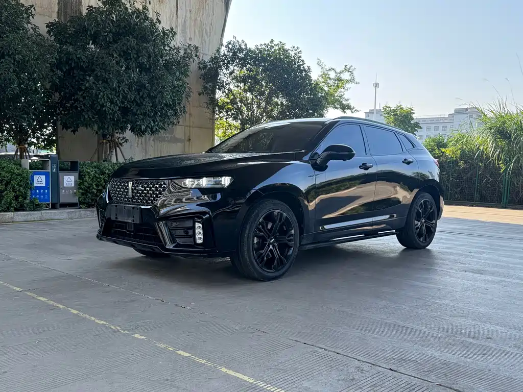 WEI PAI WEI BRAND VV7