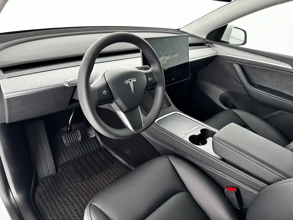 Tesla Model Y — миниатюра 4