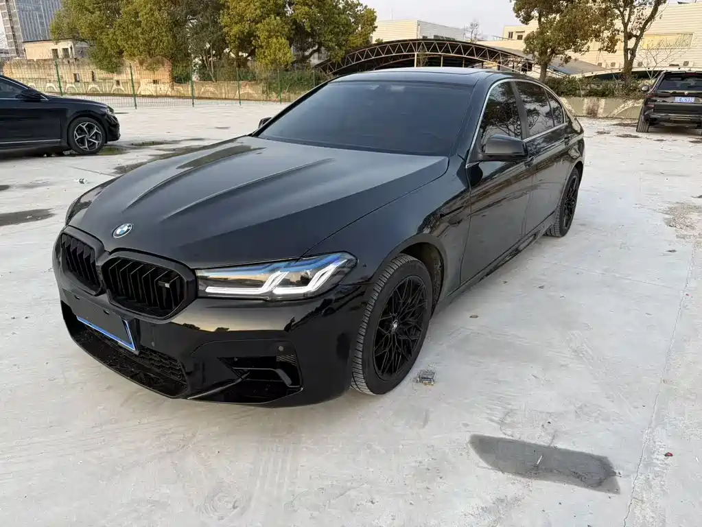 BMW 5 Series 5 2012 530Li Lead