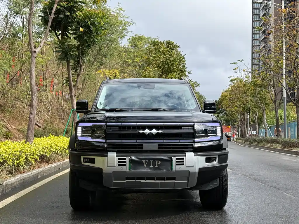 FANG CHENG BAO LEOPARD 5