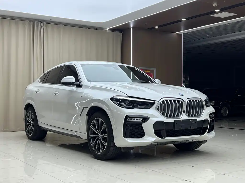 BMW X6 2021 xDrive30i M Sport