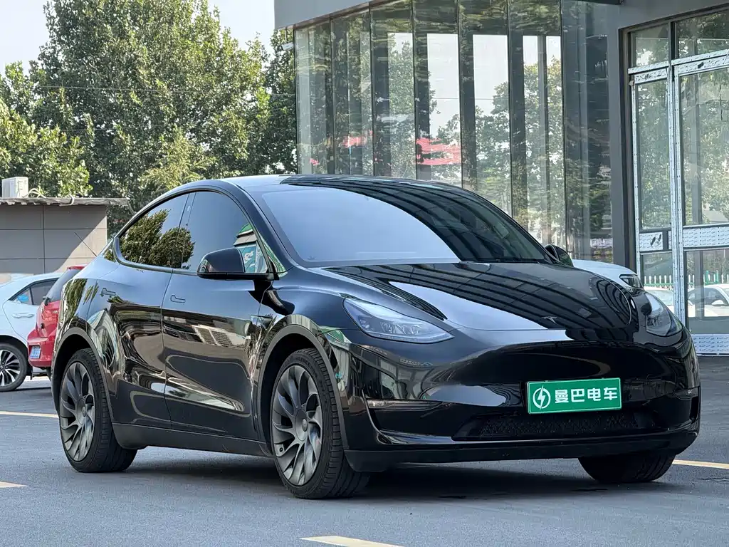 Tesla Model Y — миниатюра 3