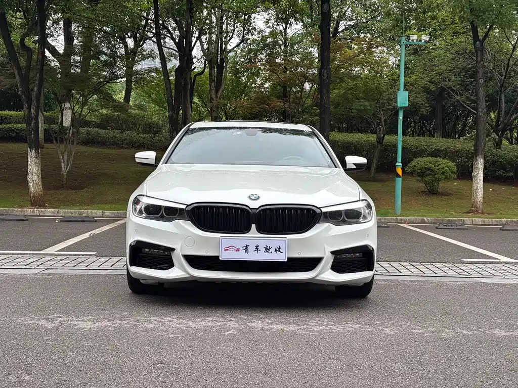BMW 5 Series 5 2019 525Li M Sport