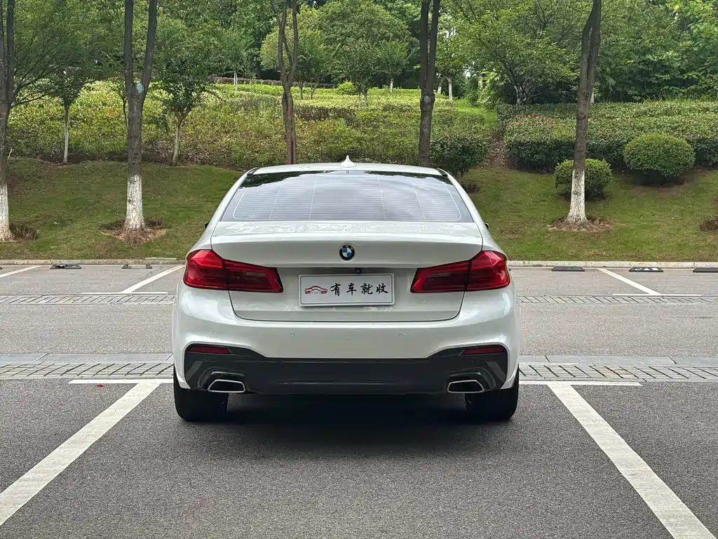 BMW 5 Series 5 2019 525Li M Sport