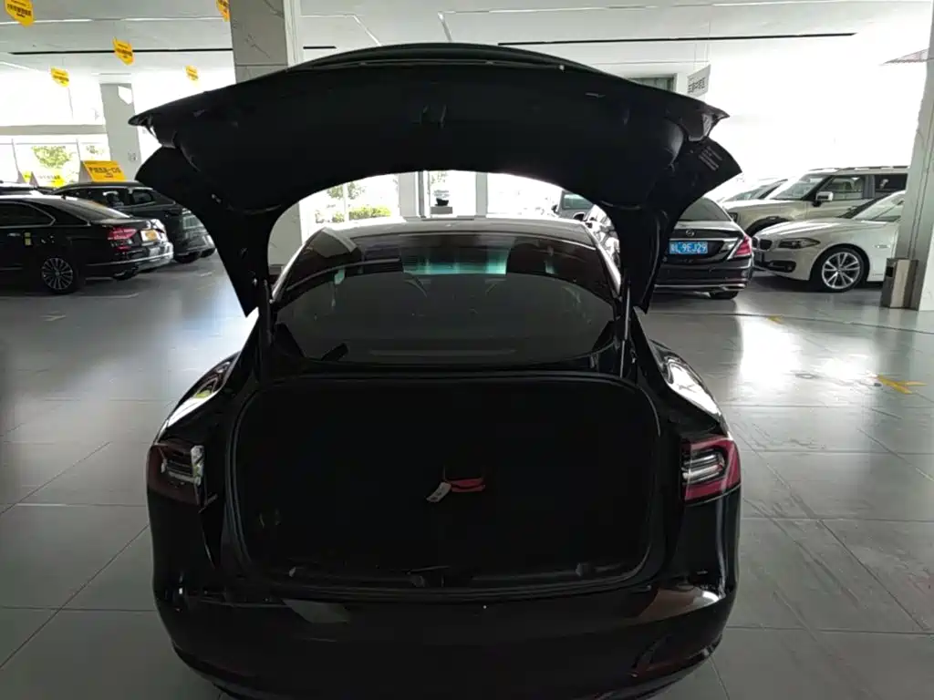 Tesla Model 3 — миниатюра 19